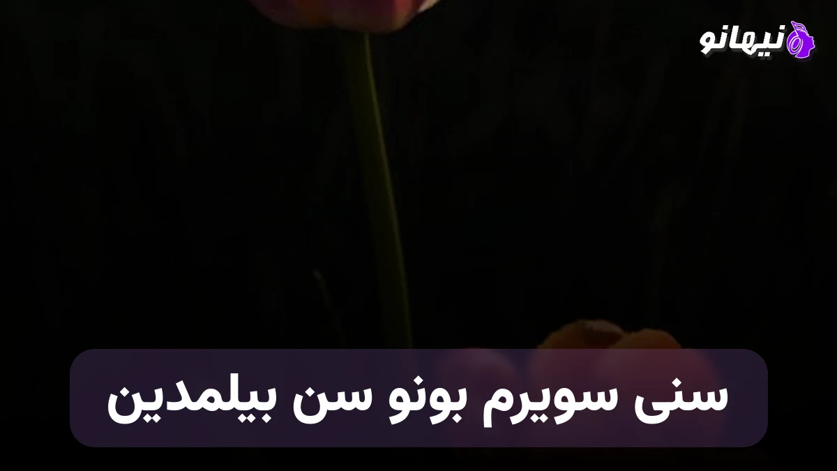دانلود آهنگ سنی سویرم بونو سن بیلمدین ترکی